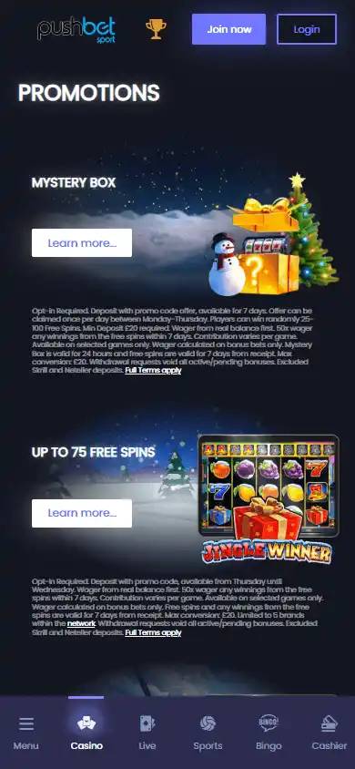 PushBet Casino screenshot 6