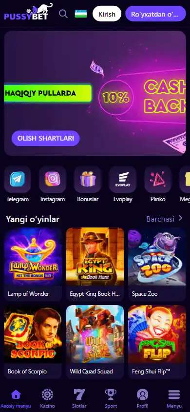 PussyBet Casino screenshot 4
