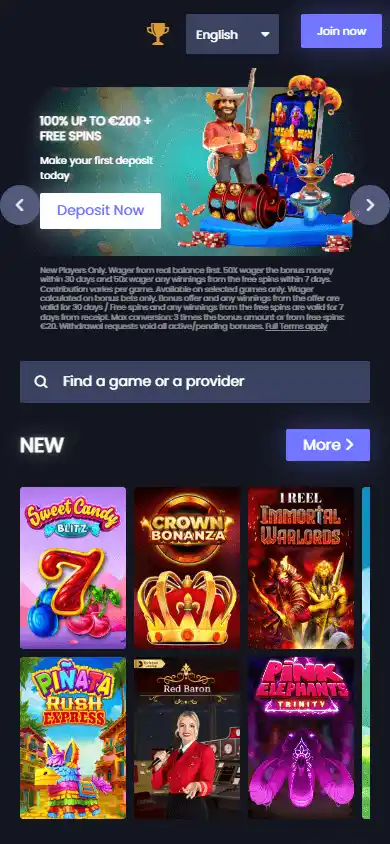 Q88Bets Casino screenshot 4