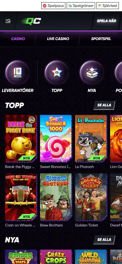 QuickCasino screenshot 5