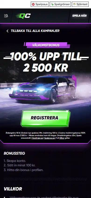 QuickCasino screenshot 6