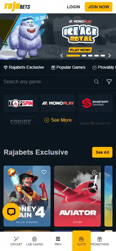 Rajabets Casino screenshot 5