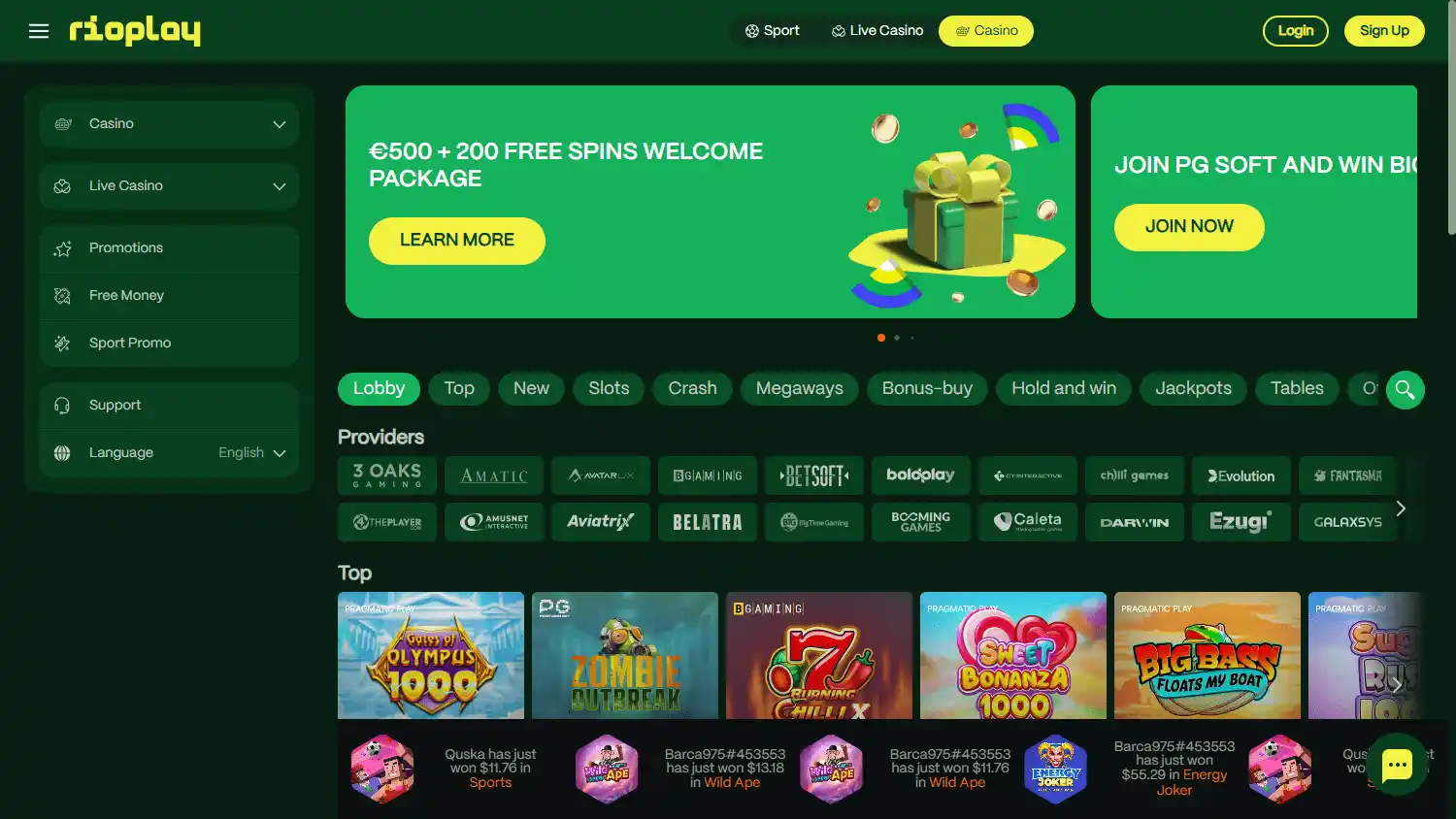 Rioplay Casino screenshot 1