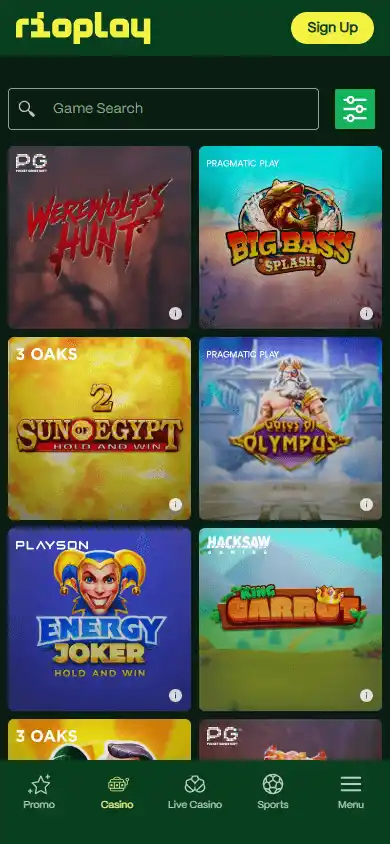 Rioplay Casino screenshot 5