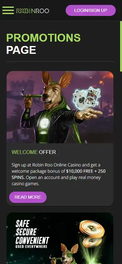 RobinRoo Casino screenshot 4