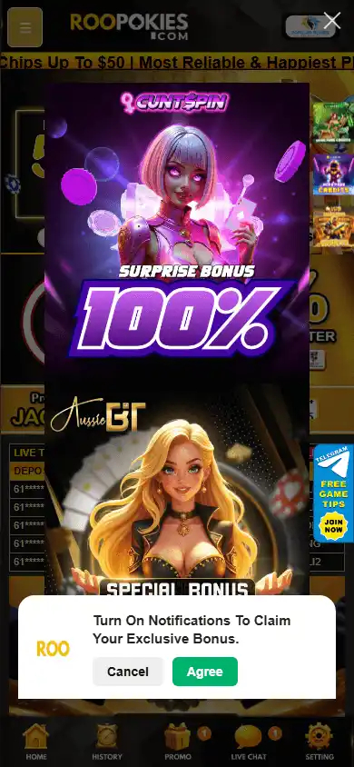 ROOPOKIES Casino screenshot 5
