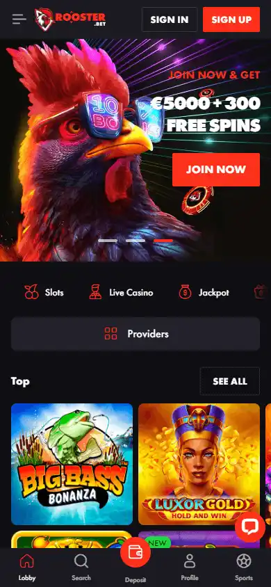 Rooster Bet Casino screenshot 4