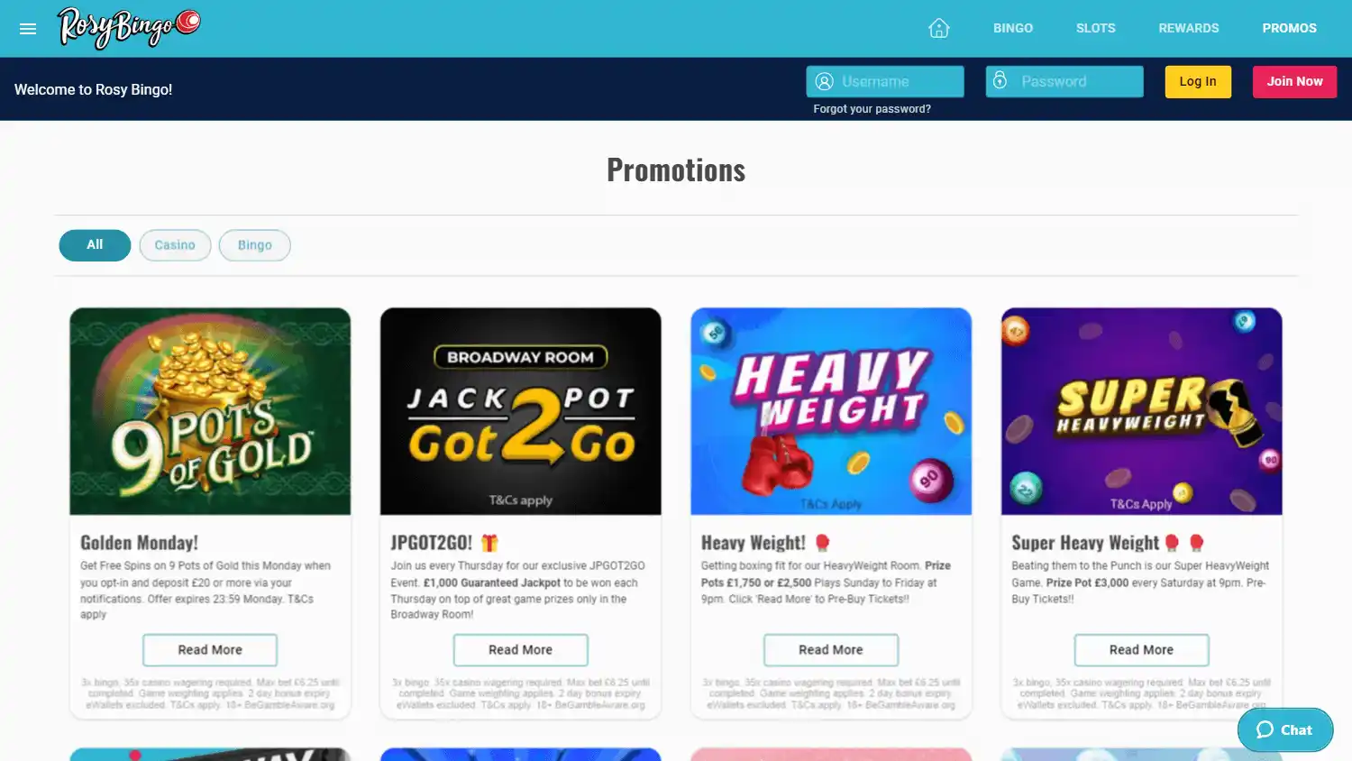 Rosy Bingo Casino screenshot 3
