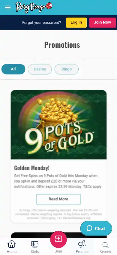 Rosy Bingo Casino screenshot 6