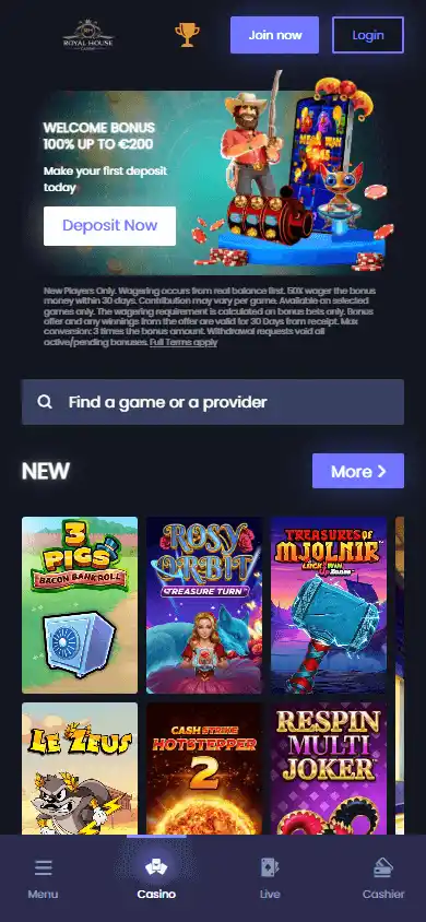 Royal House Casino screenshot 4