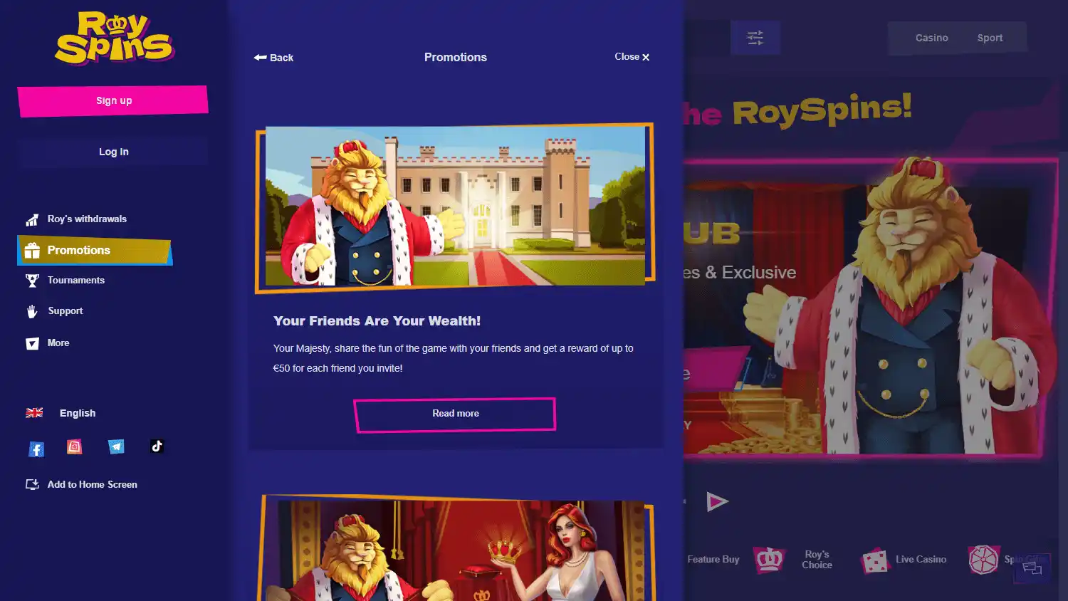 Royspins Casino screenshot 3