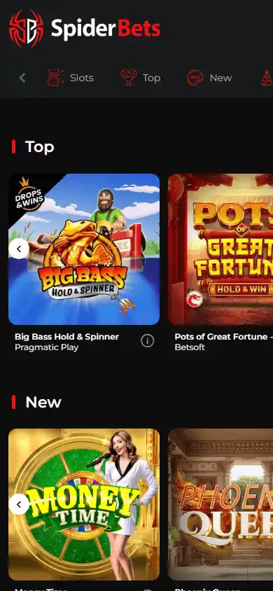 SpiderBets Casino screenshot 3