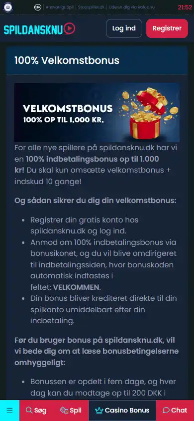 SpilDanskNu Casino screenshot 6