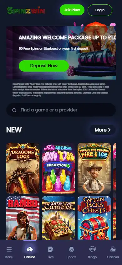 SpinzWin Casino screenshot 4