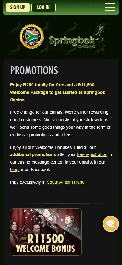 Springbok Casino screenshot 4