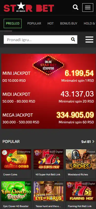 Star Bet Casino screenshot 5
