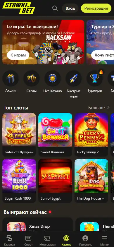 StawkiBet Casino screenshot 5