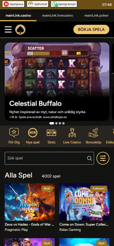 Storspelare Casino screenshot 5