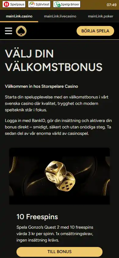 Storspelare Casino screenshot 6