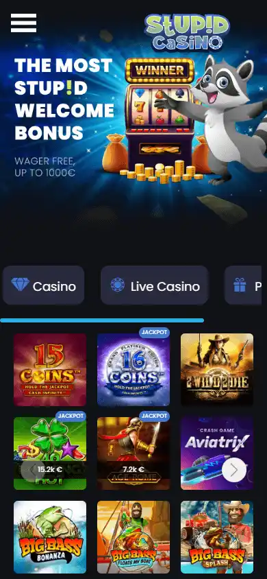 Stupid Casino screenshot 4