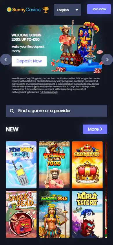 SunnyCasino screenshot 4