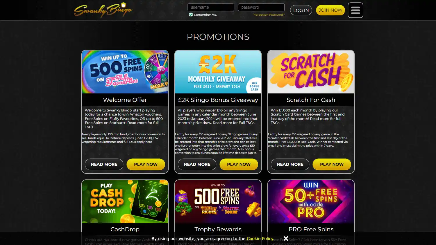 Swanky Bingo Casino screenshot 3