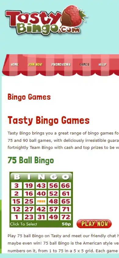 Tasty Bingo Casino screenshot 3