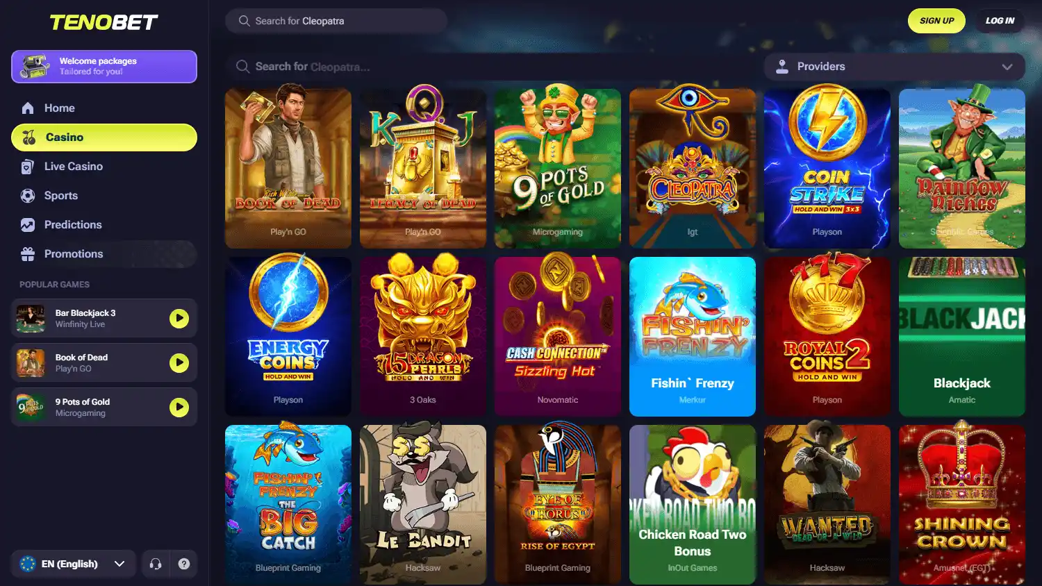 TenoBet Casino screenshot 2
