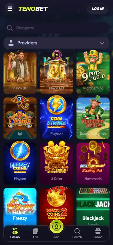 TenoBet Casino screenshot 5