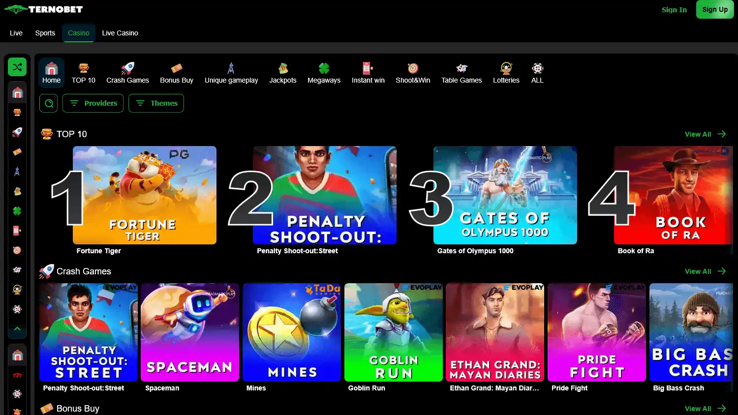 Ternobet Casino screenshot 2