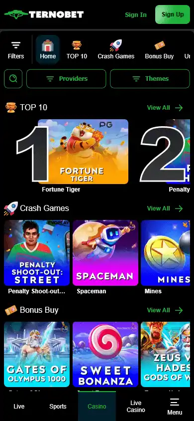 Ternobet Casino screenshot 3