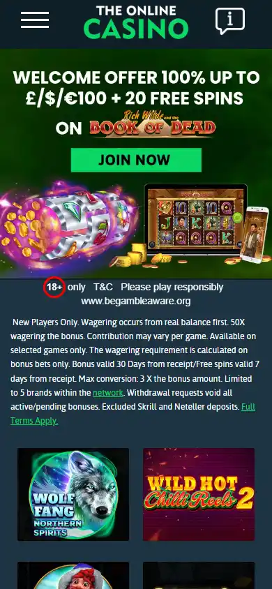 TheOnlineCasino screenshot 5