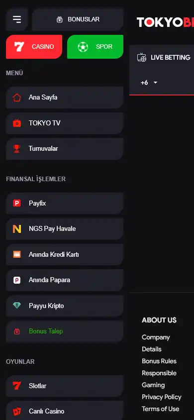 TokyoBet Casino screenshot 5