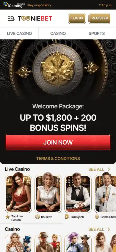 Tooniebet Casino screenshot 5