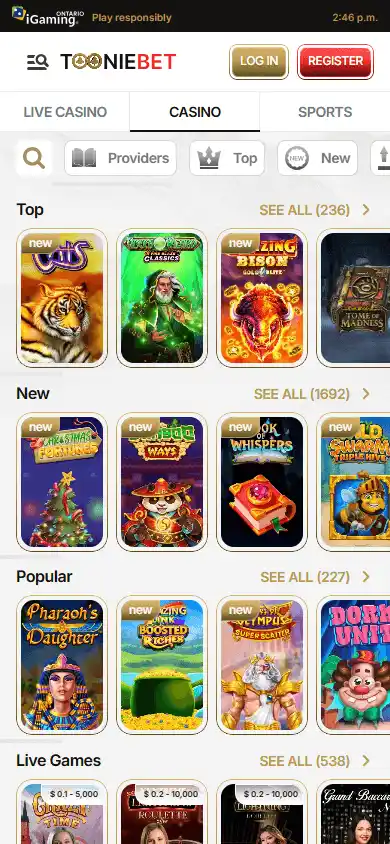 Tooniebet Casino screenshot 6