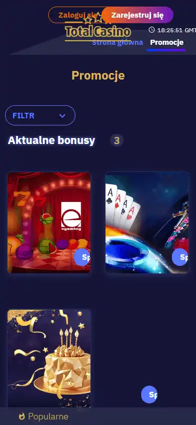 Total Casino screenshot 6