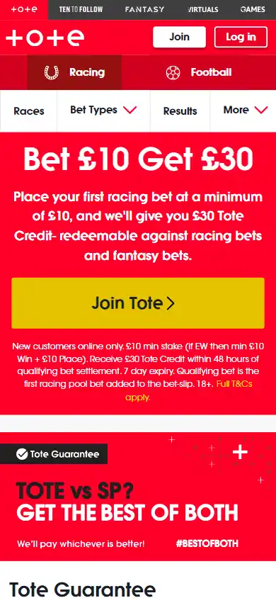 Tote Casino screenshot 4