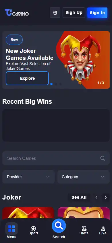 TuCasino screenshot 4