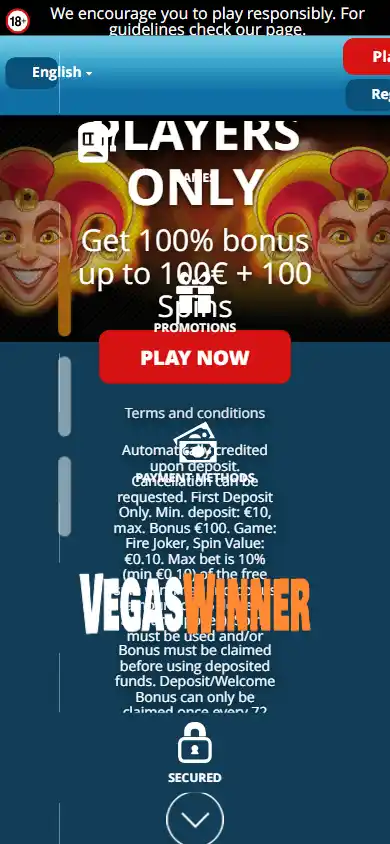VegasWinner Casino screenshot 4