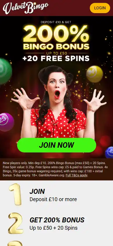 Velvet Bingo Casino screenshot 2