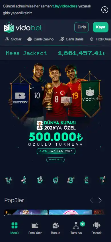 VidoBet Casino screenshot 4