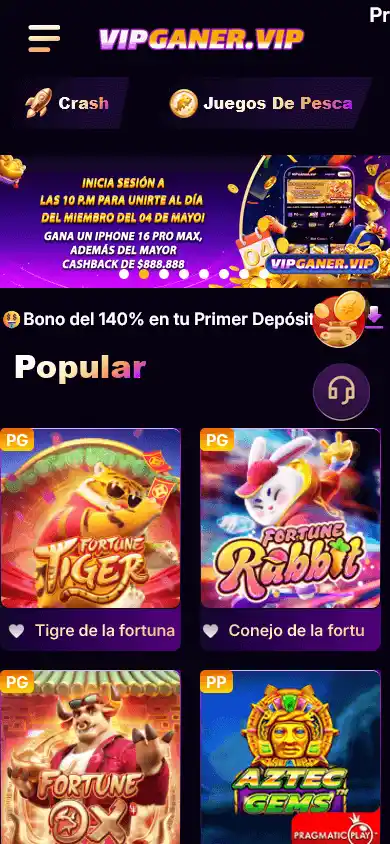 Vipganer Casino screenshot 5