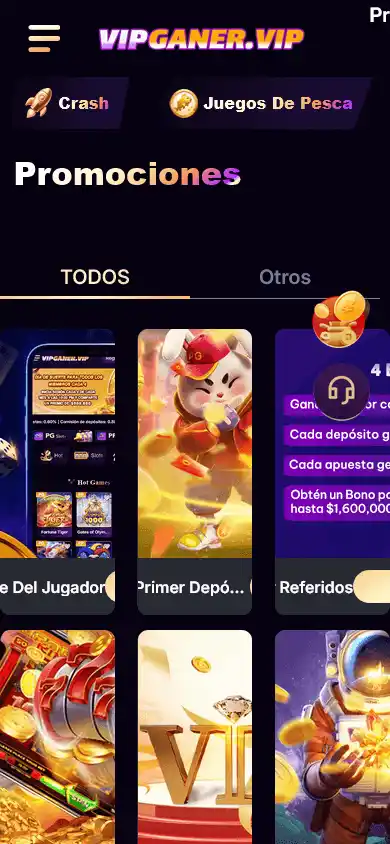 Vipganer Casino screenshot 6
