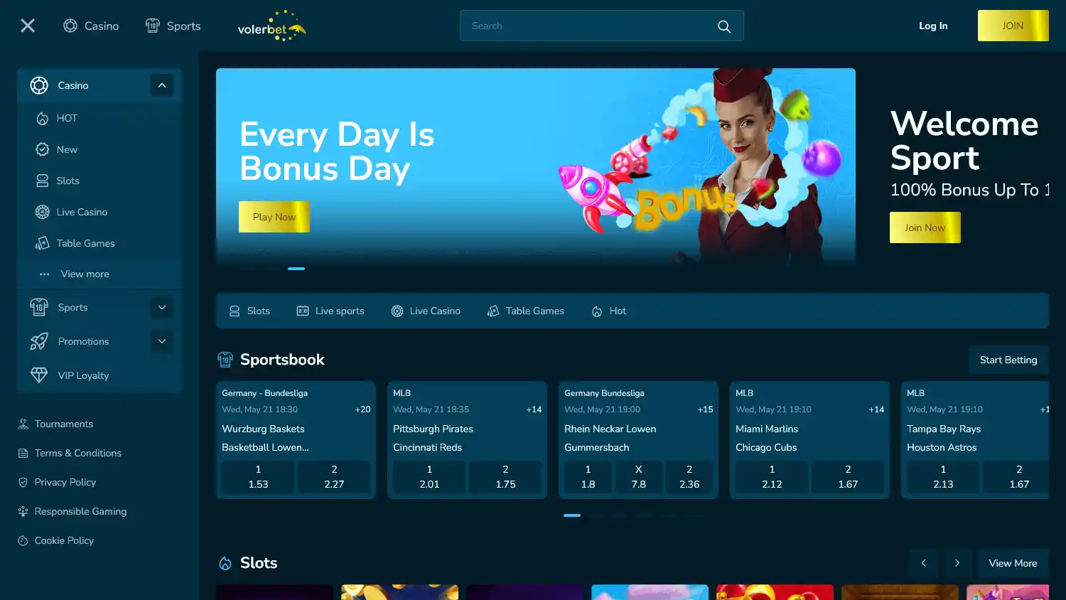 Volerbet Casino screenshot 1