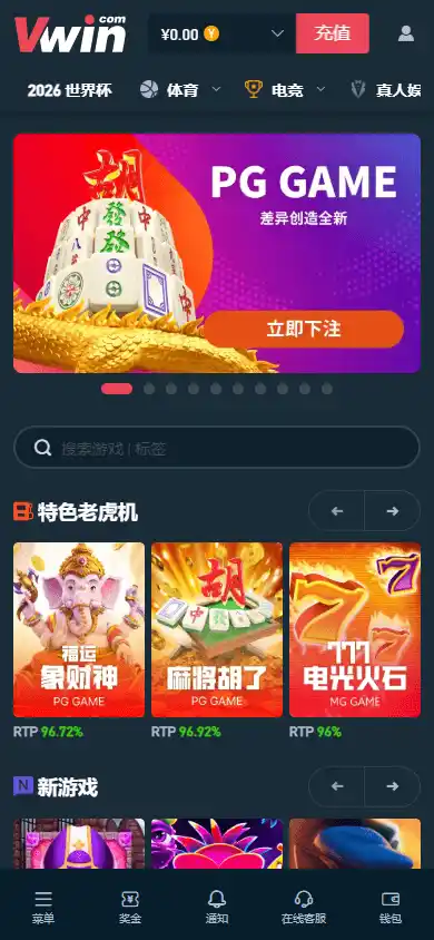 Vwin Casino screenshot 5