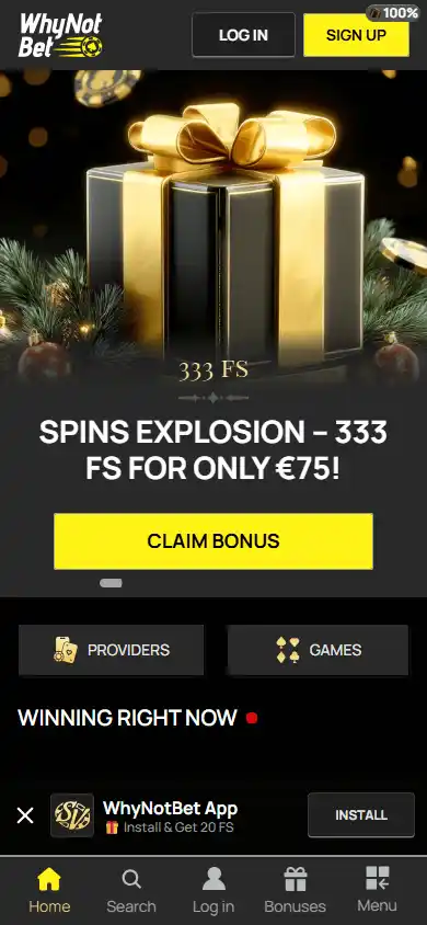 WhyNotBet Casino screenshot 4