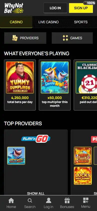 WhyNotBet Casino screenshot 5