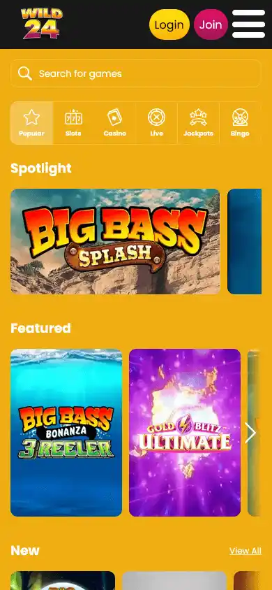Wild 24 Casino screenshot 5