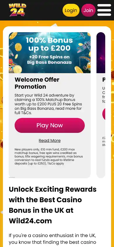 Wild 24 Casino screenshot 6