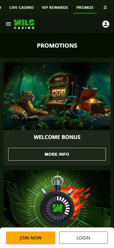Wild Casino screenshot 7